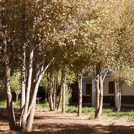 Terracota Hotel San Pedro de Atacama Bagian luar foto